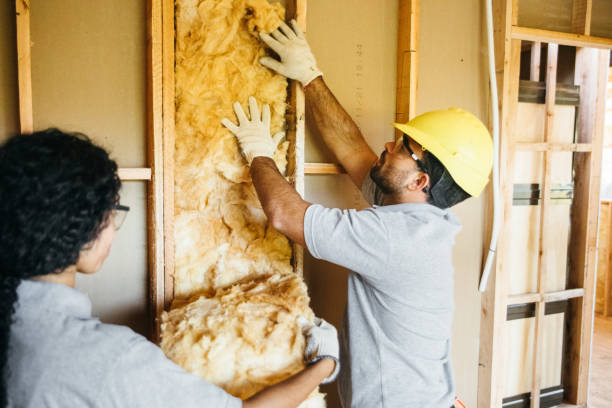 Insulation Contractors for Homes in Mountain Brook, AL